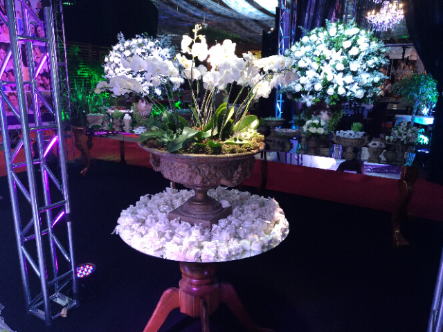 7-P_20170218_125612_vHDR_Auto.jpg